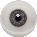 #4 Movable eyes