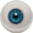 #6 Movable eyes