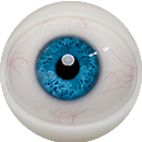#7 Movable eyes