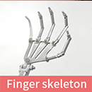 Yes Finger Skeletonn