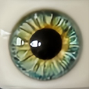 #1 Eyess