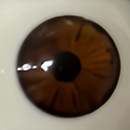 #3 Eyess