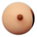 2cm Areola Size