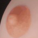 Light Brown Areola