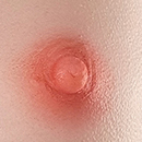 Flesh Areola