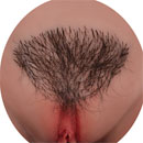 #3 Pubic Hair