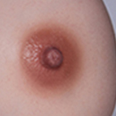 Light Brown Areola