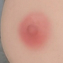 Pink Areola