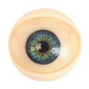 Blue Eyess