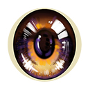 #1 Eyess