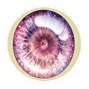 #5 Eyess