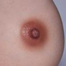 Areola Color Light Brown