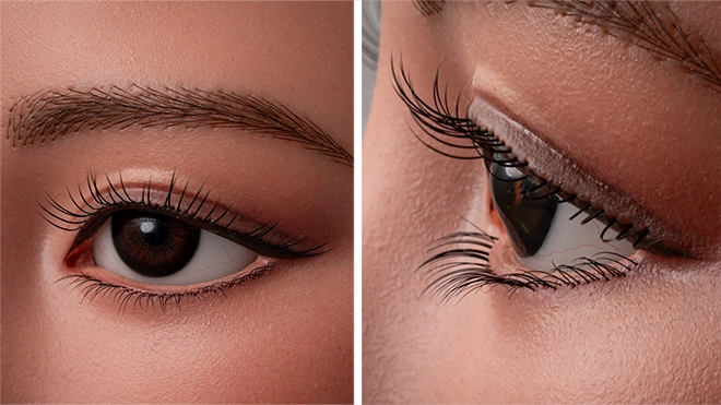 Implanted Eyebrows & Eyelashes 