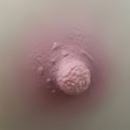 Areola Color #1
