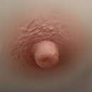 Areola Color #2