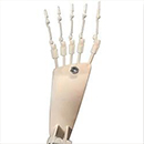 Articulated Toe