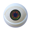 #5 Eyes
