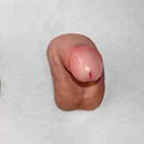 7 cm (2.7 in) Dildo Size