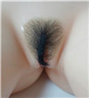 Pubic Hair