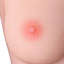 Normal Areola