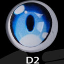 D2 Eyess