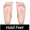 Standing Feet Without Bolts Standing