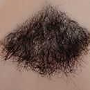 #3 Pubic Hair