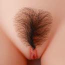 #1 Pubic Hair