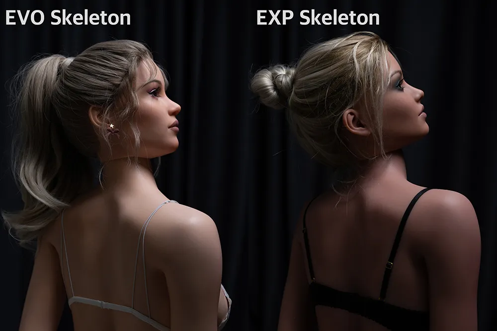 EXP Skeleton