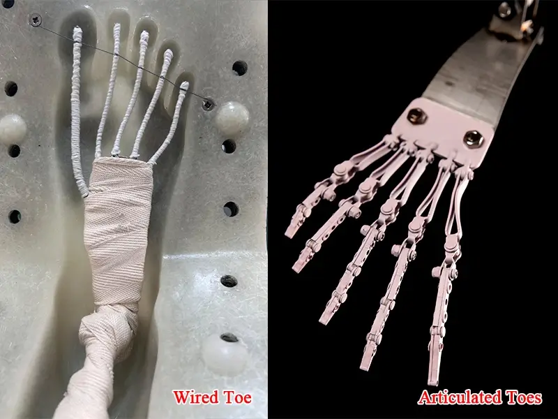 Wired Toe VS Articulated Toes