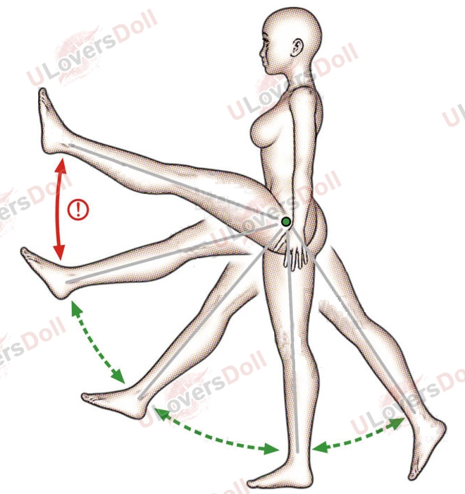 Leg