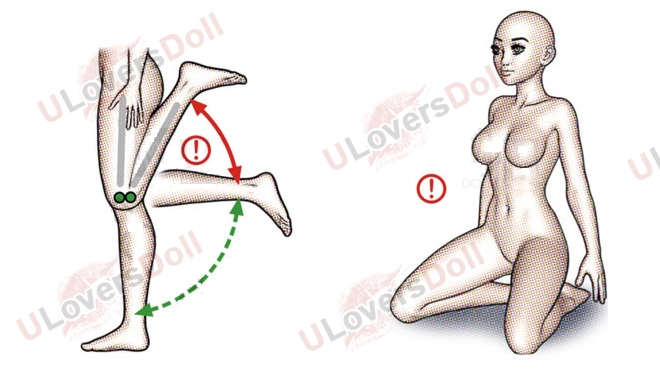 Lower Leg
