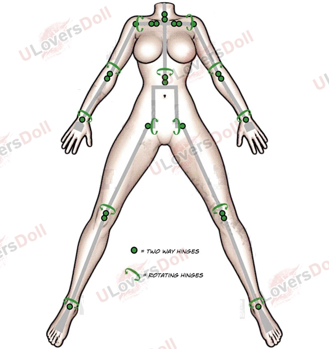 Molding Pose & Skeleton