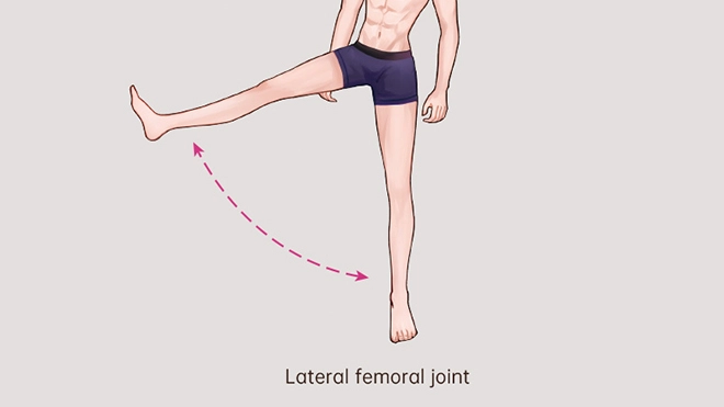 Femoral joint