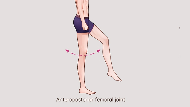 Femoral joint