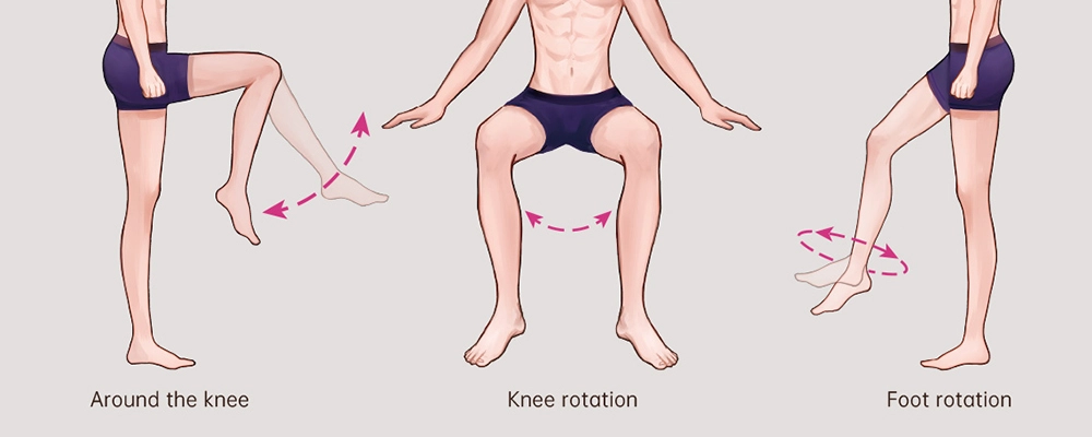 Knee and foot joints