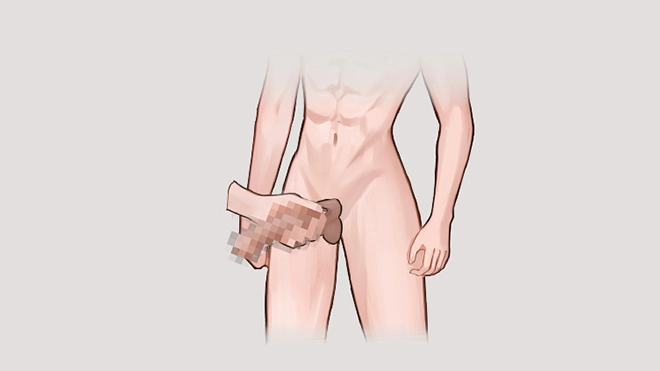 Phallus Installation