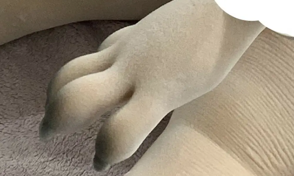 Rabby hand