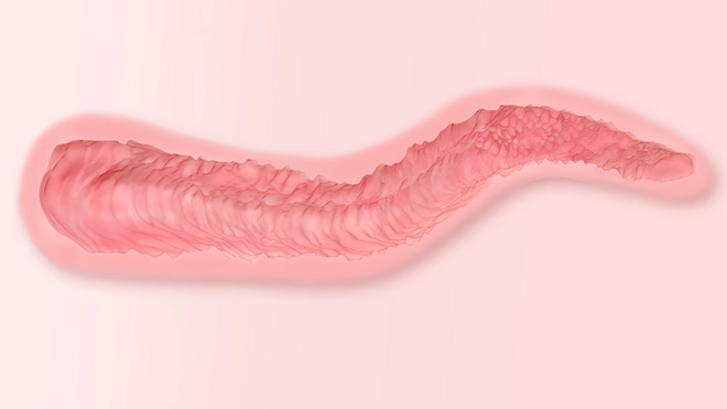 Composite texture