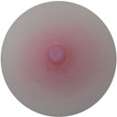 Pink Areola