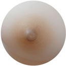 Light Brown Areola