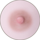 Light Brown Areola