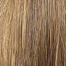 Bronze Blend Hair Color