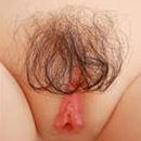 Pubic Hair:Style #2