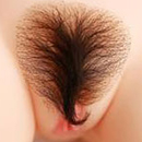 Pubic Hair:Style #3