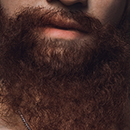 Beard #3