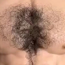 Chest Hair