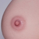Pink Areola