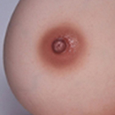 Light Brown Areola