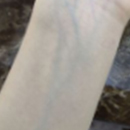 Body Blood Vessel
